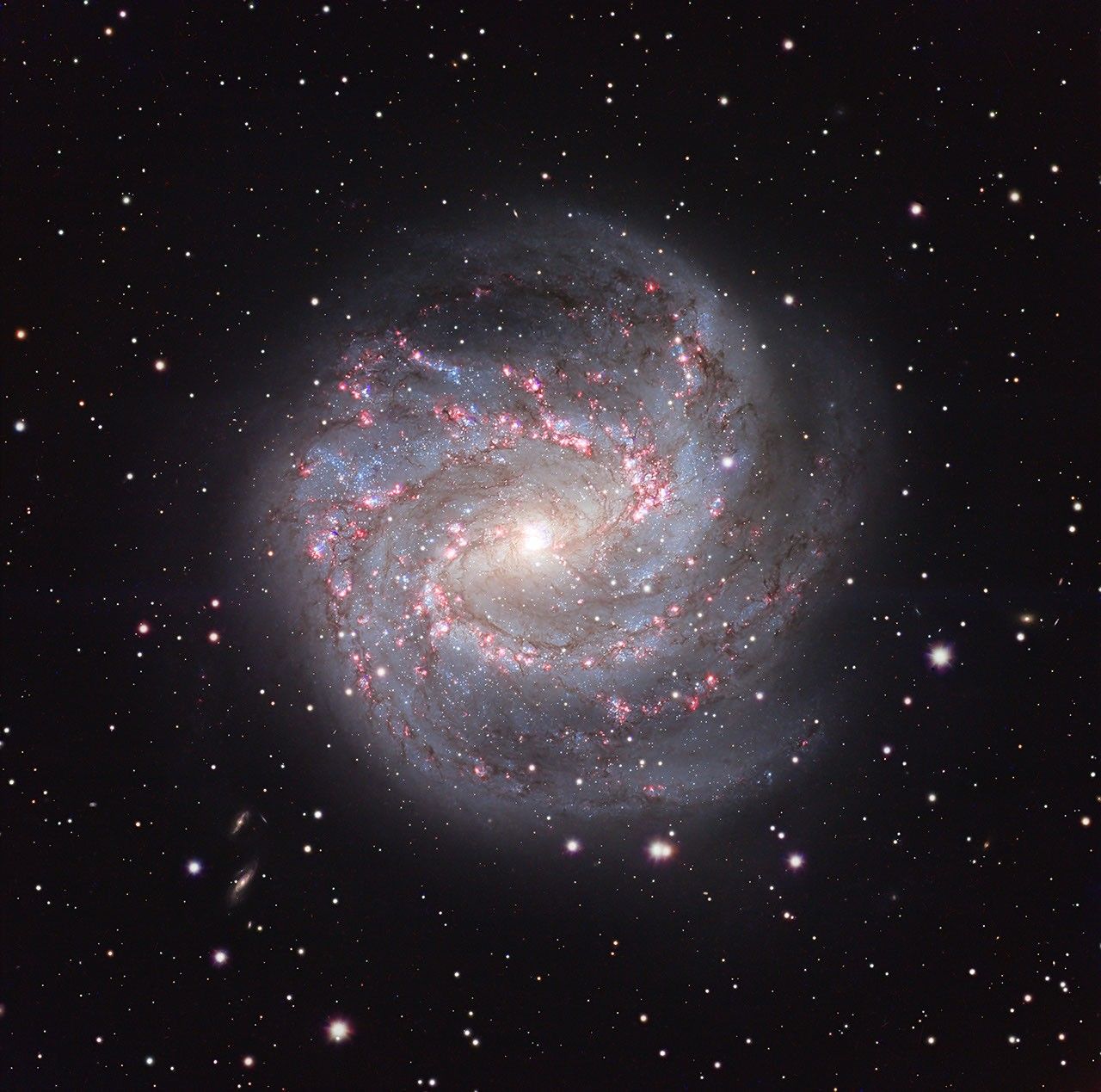 APOD: 2026 September 11 – M83: The Southern Pinwheel
