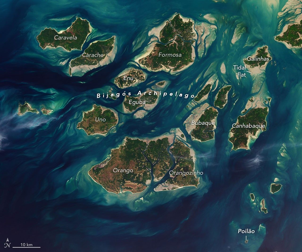 A Tide-Fueled Trove of Biodiversity in Guinea-Bissau