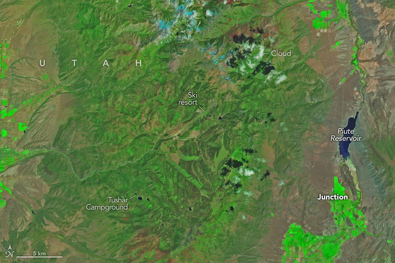 Cottonwood Fire Chars Utah