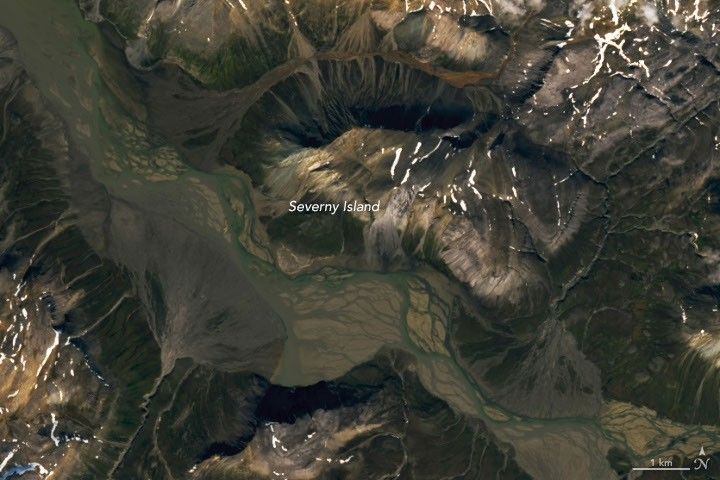 Fans of the Arctic