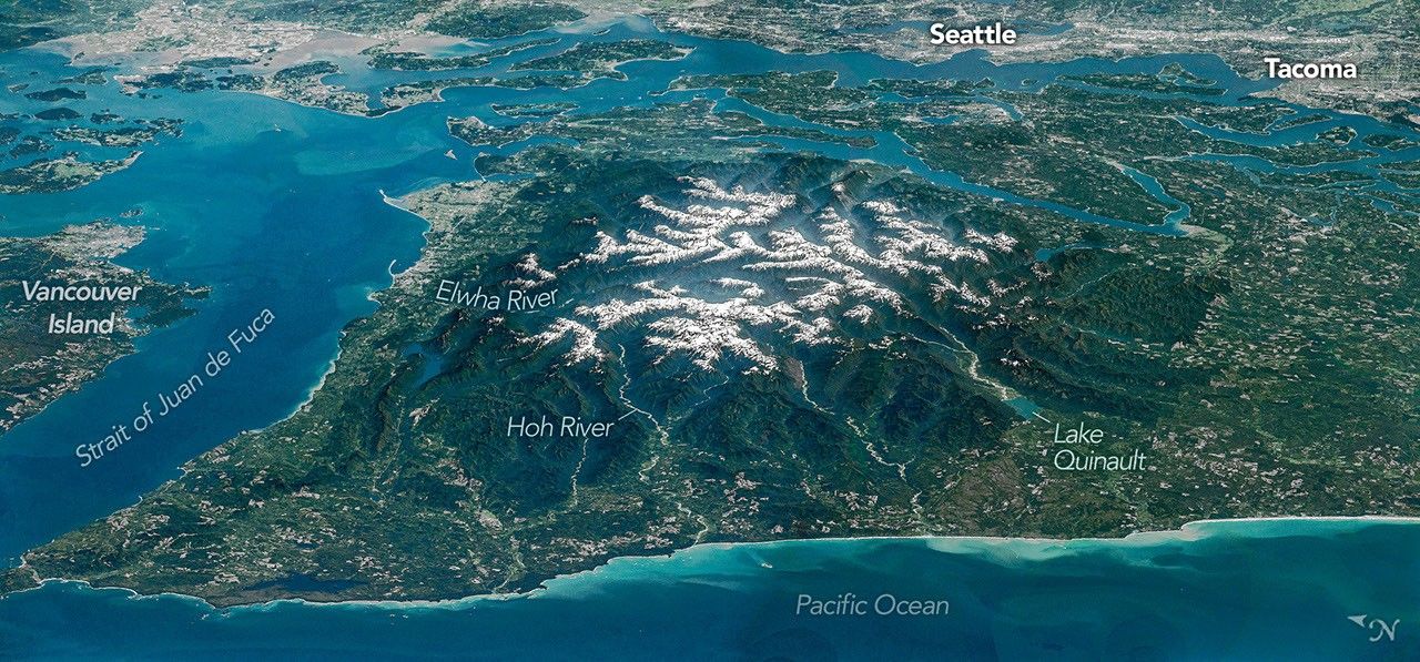 Olympic Mountain Glory