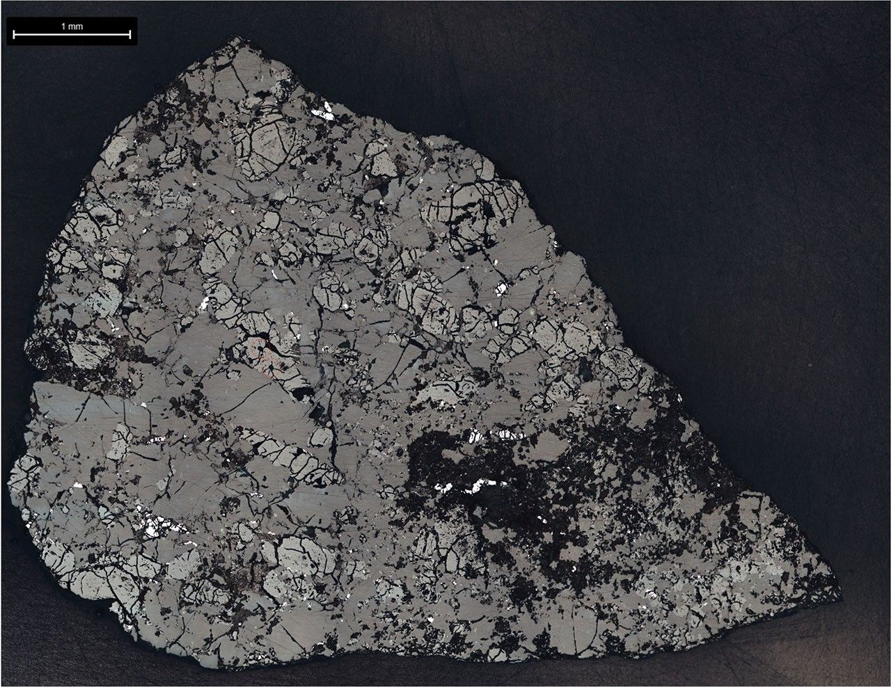 Slice of Martian Meteorite Teghaza 001