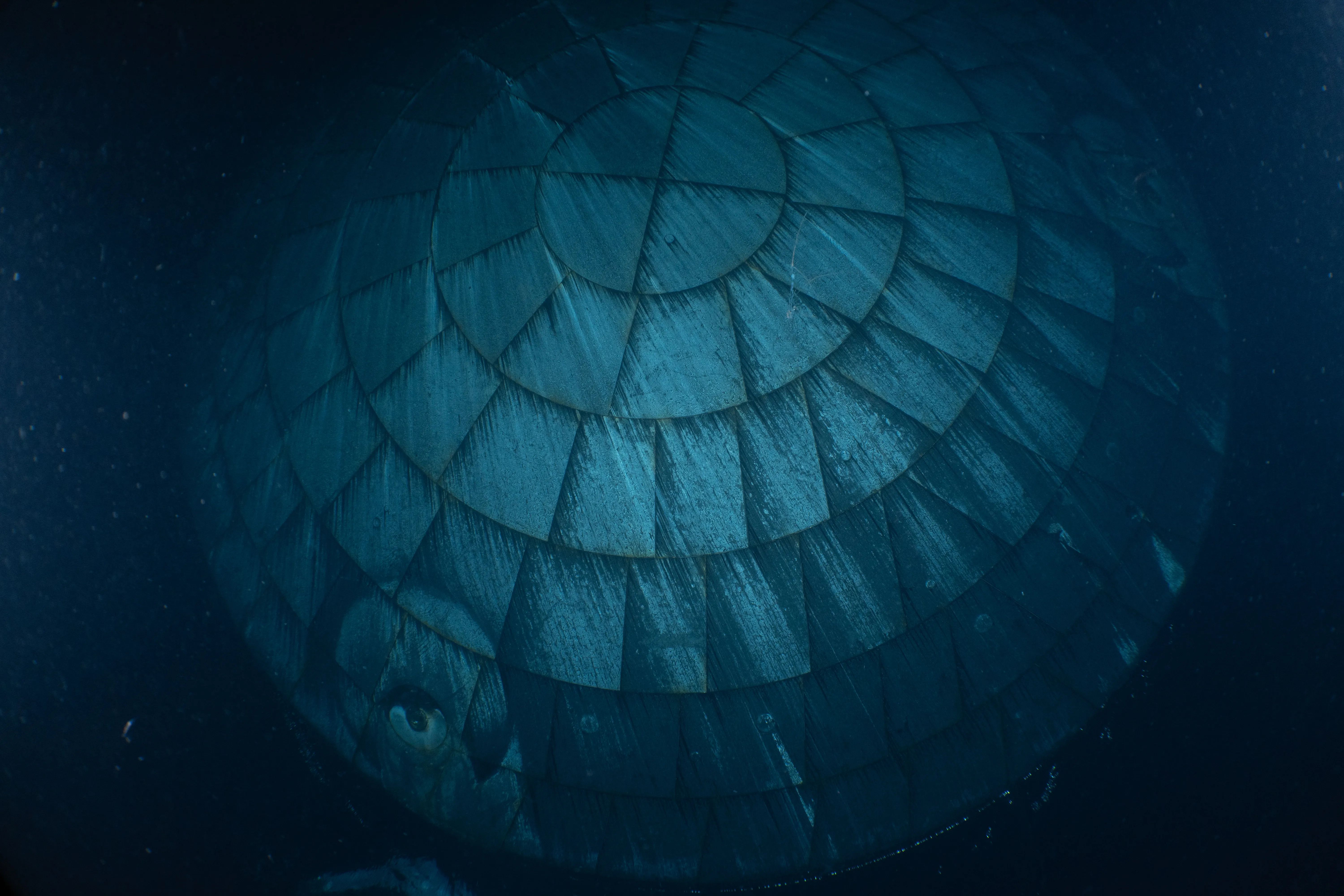 It turns out that Orion's much-maligned heat shield performed really well