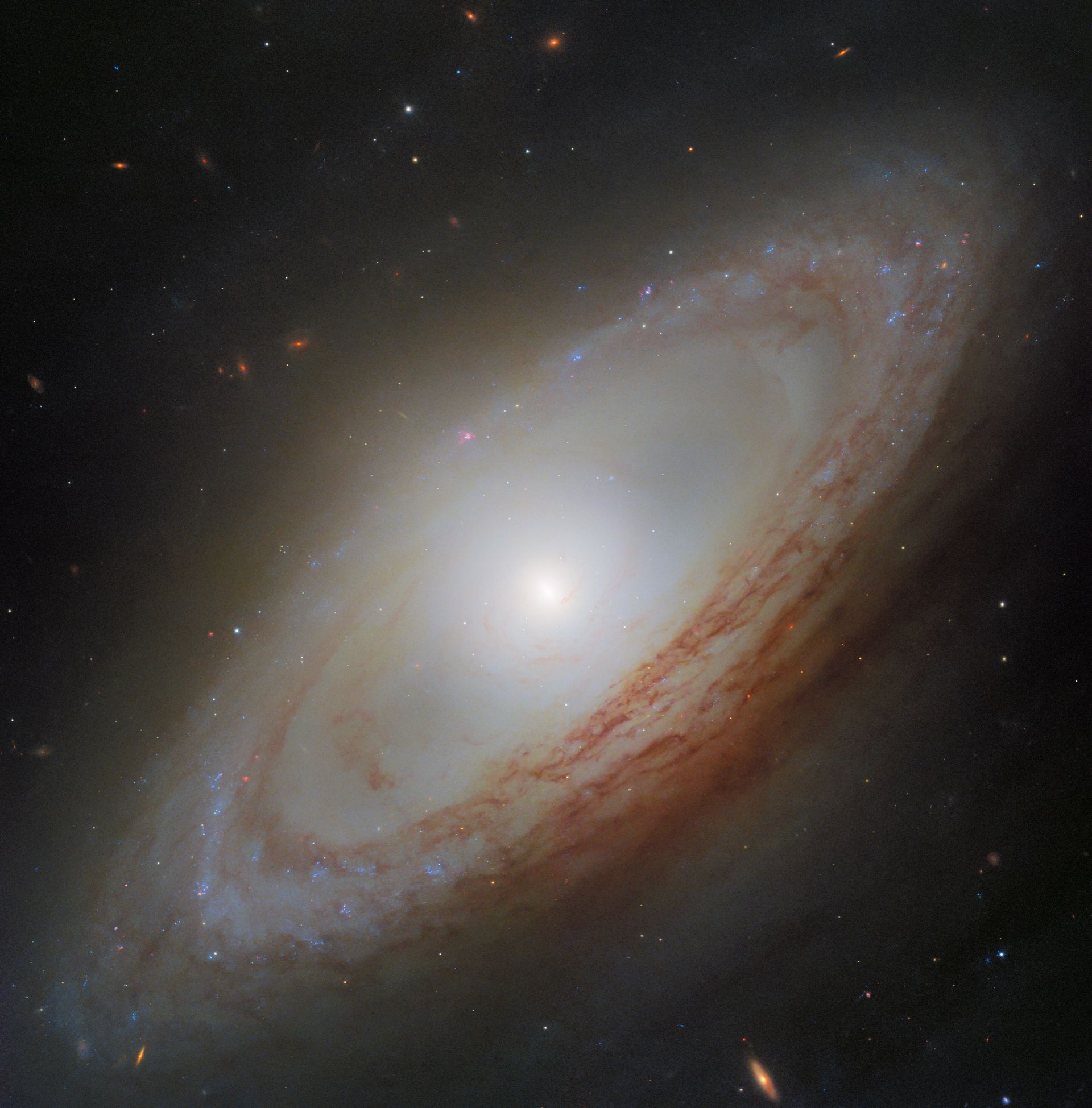 NASA’s Hubble Spots an Out-of-Sync Galaxy
